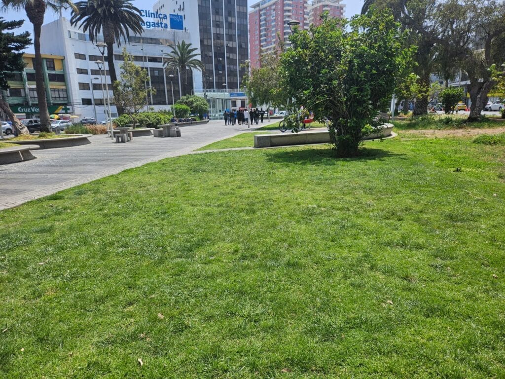 Picnic Familiar Parque Brasil Antofagasta - Hotel Antofagasta Centro picnic familiar parque brasil antofagasta - Hotel Antofagasta Centro